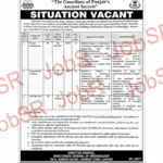 Conservation Architect Jobs 2026 — Directorate General of Archaeology Punjab Pakistan